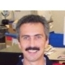 Robert Wilhelm