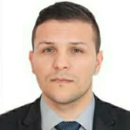 Ionut Mosnegutu