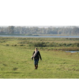 Heleen van Pol