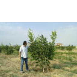 Aydın Lal's profile picture