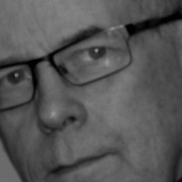 Raymond Peat