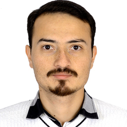 Mohammad Reza AMIRI