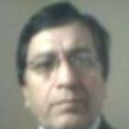 Raul Diaz  Sepulveda