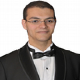 Ing. Salahuddin ElKazak