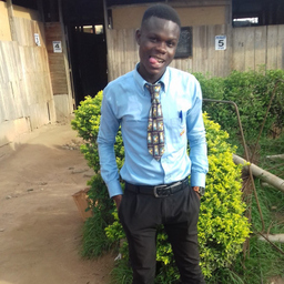 Dominic Edzii afful