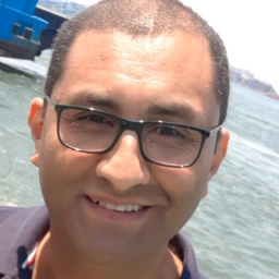 Mohamed Fahmy Abouelela