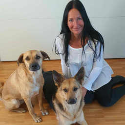 Dr. Ines Fieberg