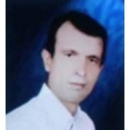 Mesut Kurtbay