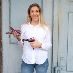 Laura Holschbach's profile picture