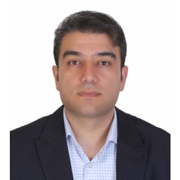 naser ghaemi