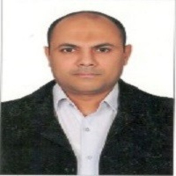 Ayman Mowafy