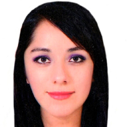 Fabiola Yosselin Zarate Calvillo