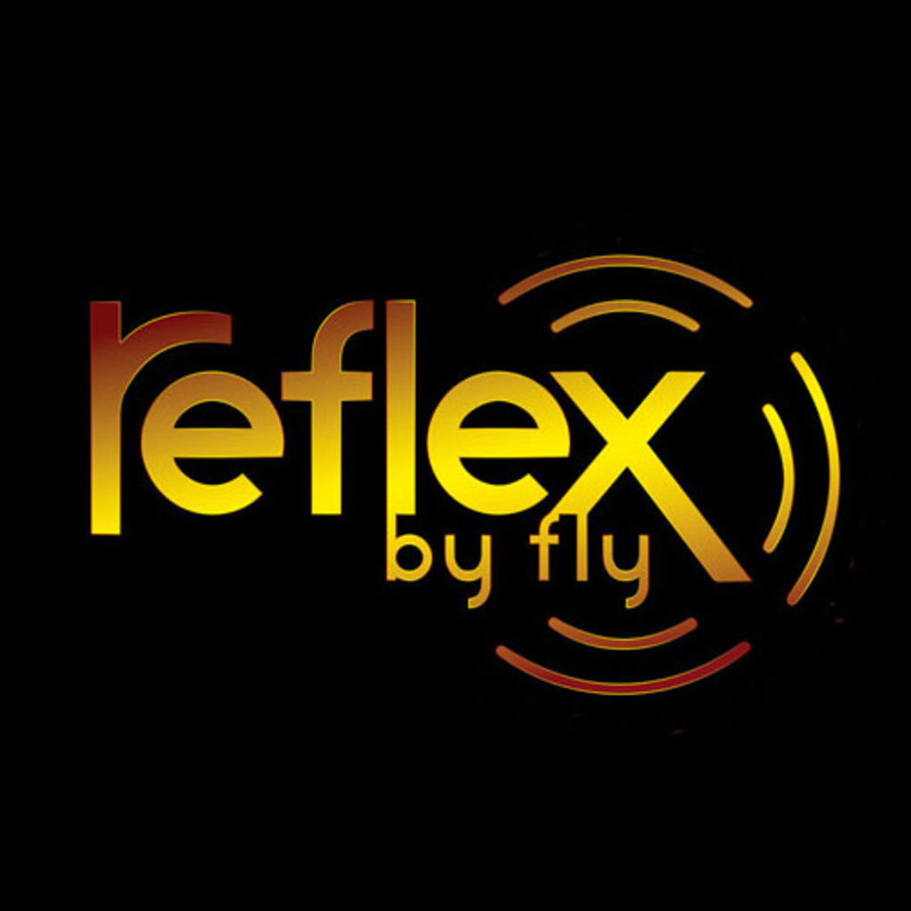 ingrid franz DJane DJ booking Vienna reflex by fly XING