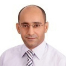 Nazar M. N. Saeed