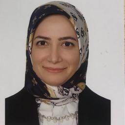 Maryam Nematinia