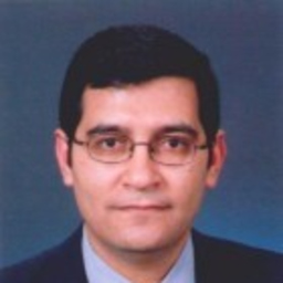 ADEL AHMED