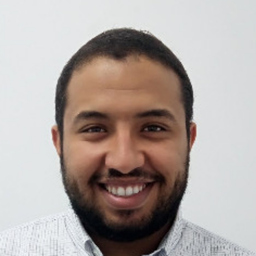 Ali Salem