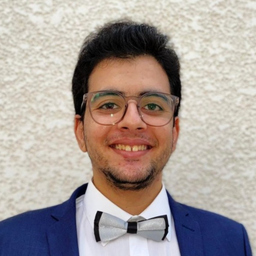 Mohamed Jerbi