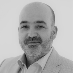Damir Licina