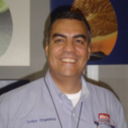 Felipe Organista