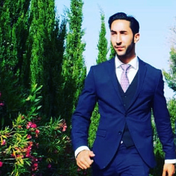 Mani Masshafi