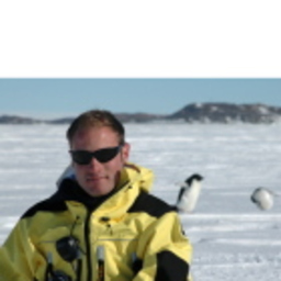 Timo Viehl