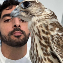 Sheikh Hamdan
