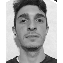 Davide Soli