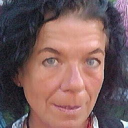 Susanne Krull