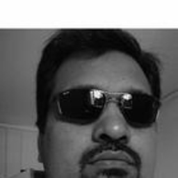 Vinod Ray