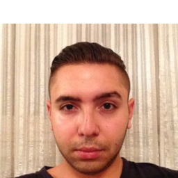Andrejic Denis