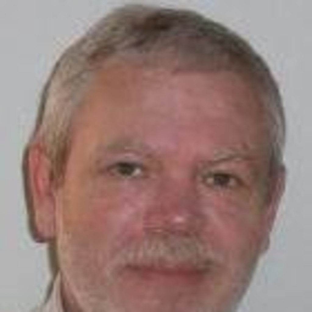 Sergey Shishkin Analytiker Selbstbildung XING