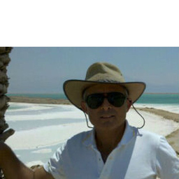 Meir More