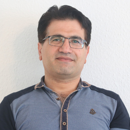 M.Sc. Reza  Amin