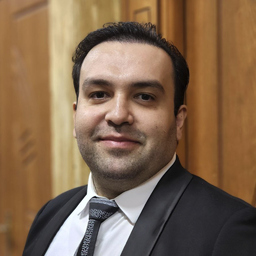 Hamed Nikzad