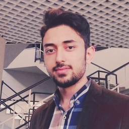 Erfan Gholizadehazari