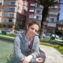 Gülçin çelik