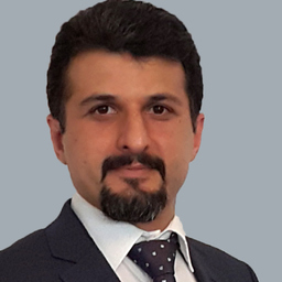 Dr. Hamid Mirmohammadsadeghi