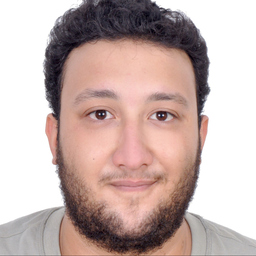 Ing. Adam Messaoudi