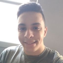 ali Elgamil ali