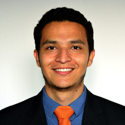 Ing. Manuel Alberto Martinez Arenas