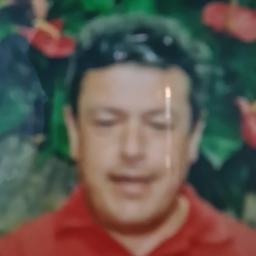 Franz Pail