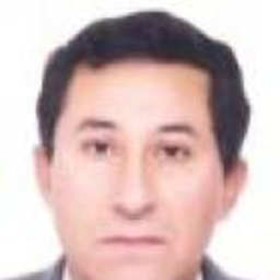 VIRGILIO BRICEÑO VASQUEZ