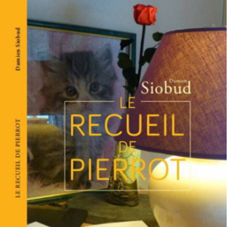 Damien siobuD