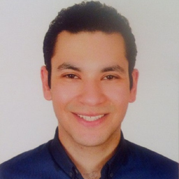 Ing. Ahmed Hussein