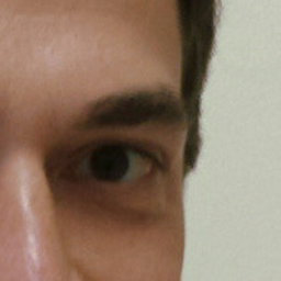Robert Krigovszky