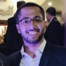 Mahmoud Mohamed Abdelraouf