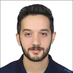 Bisher Alshayeb