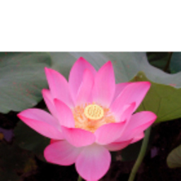 Li Zhao