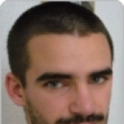 Alexandre Galiana